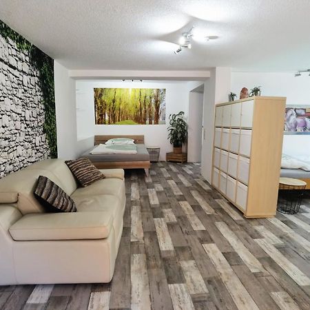 Ferienwohnung - Appartement "Painted Horse" Im Herzen Des Pfaelzer Waldes Reichenbach-Steegen Экстерьер фото