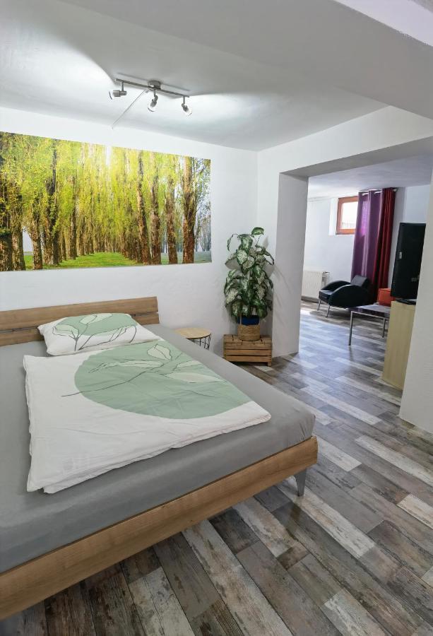 Ferienwohnung - Appartement "Painted Horse" Im Herzen Des Pfaelzer Waldes Reichenbach-Steegen Экстерьер фото