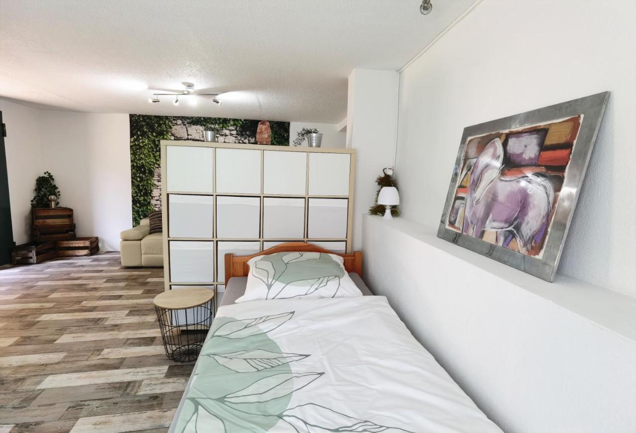 Ferienwohnung - Appartement "Painted Horse" Im Herzen Des Pfaelzer Waldes Reichenbach-Steegen Экстерьер фото