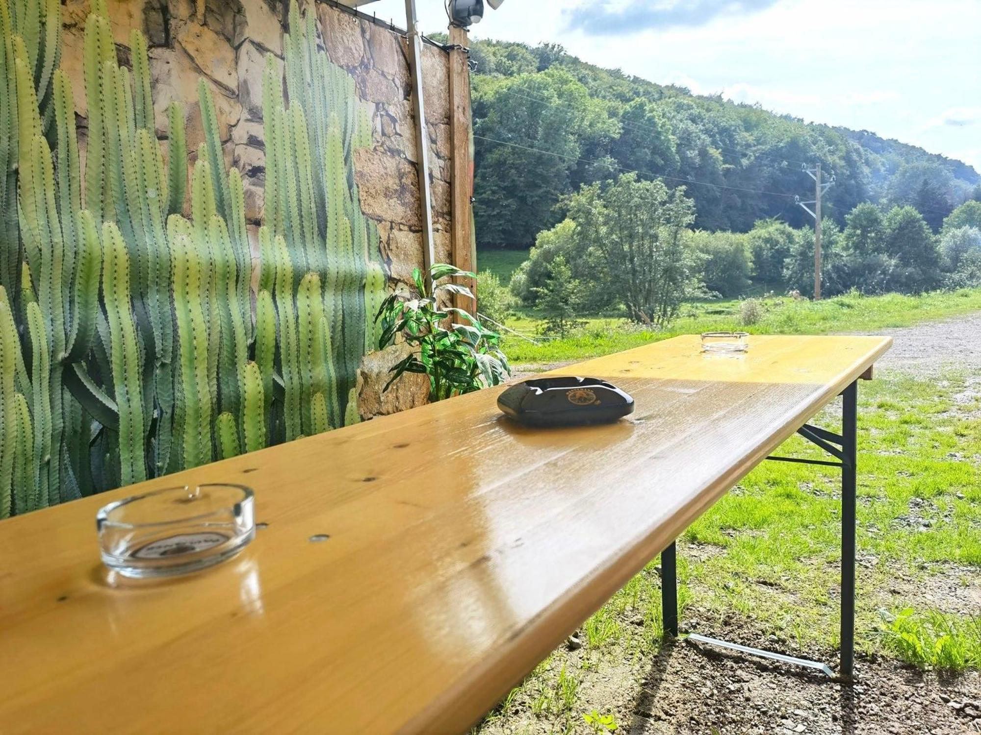 Ferienwohnung - Appartement "Painted Horse" Im Herzen Des Pfaelzer Waldes Reichenbach-Steegen Экстерьер фото