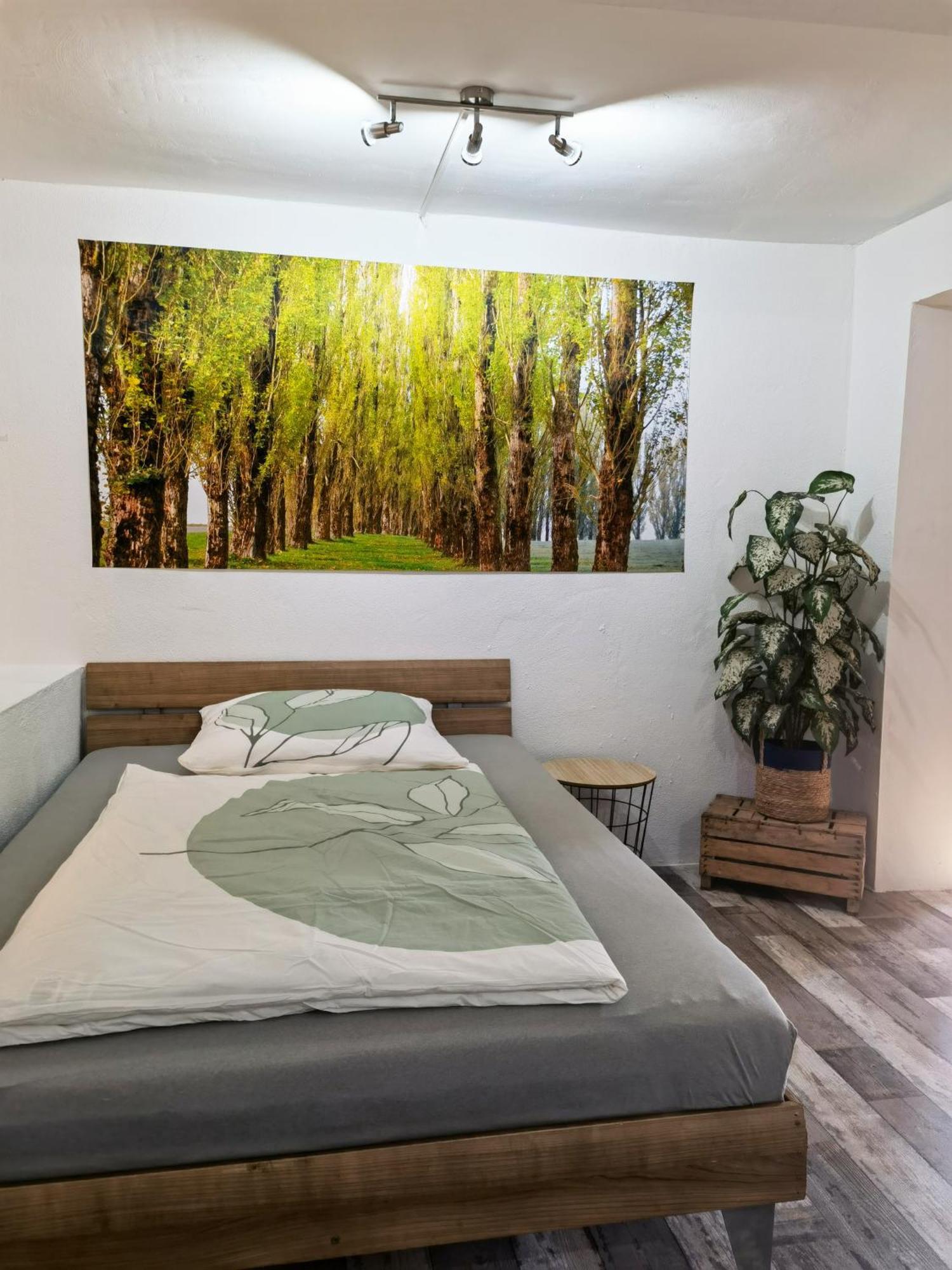 Ferienwohnung - Appartement "Painted Horse" Im Herzen Des Pfaelzer Waldes Reichenbach-Steegen Экстерьер фото