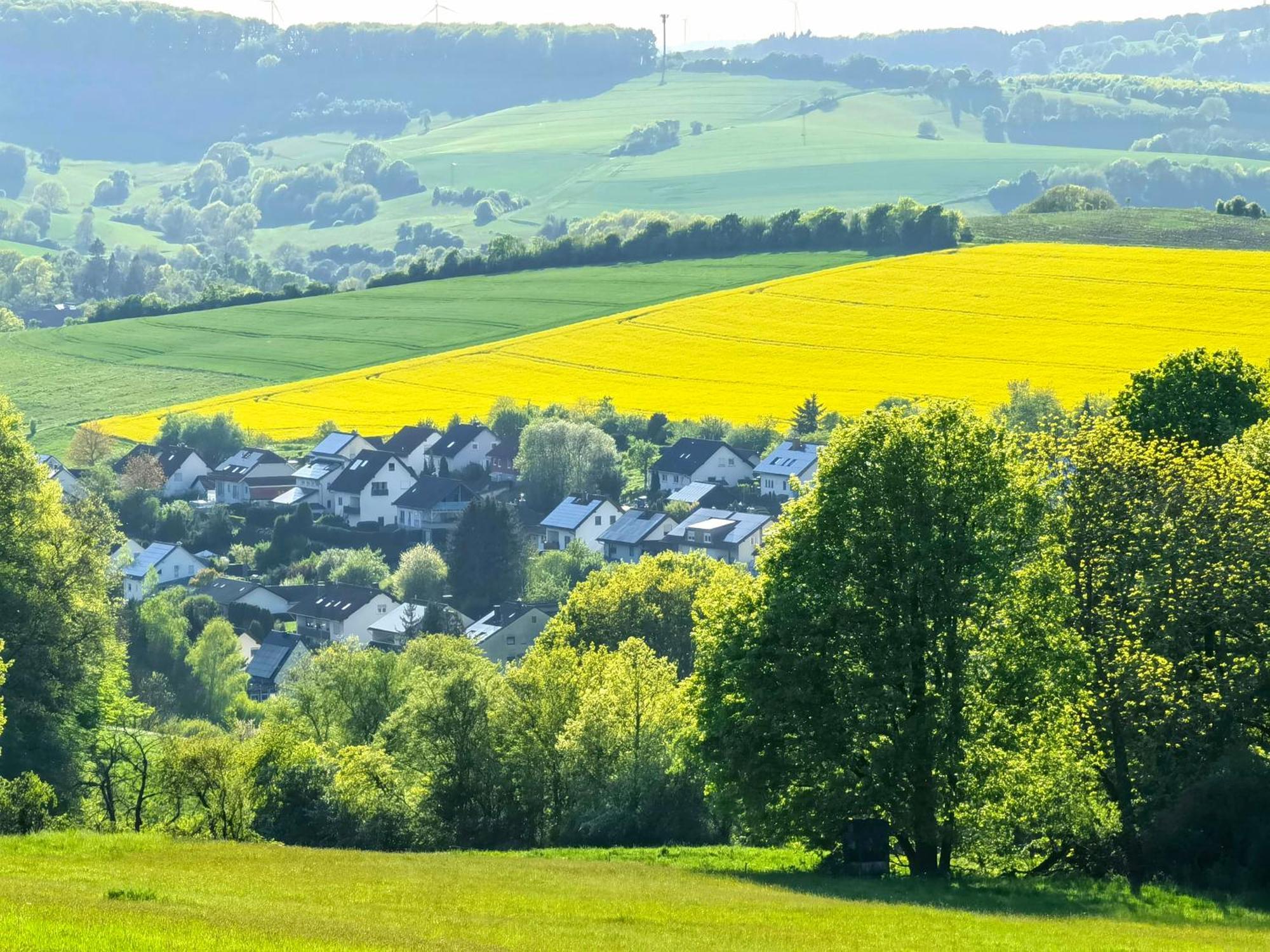 Ferienwohnung - Appartement "Painted Horse" Im Herzen Des Pfaelzer Waldes Reichenbach-Steegen Экстерьер фото